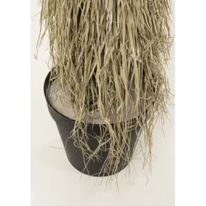 Online KARE Design Deco Plant Yucca Rostrata 240cm