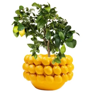 Discount KARE Design Deco Planter Lemon Juice 22cm