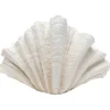 Clearance KARE Design Deco Vase Concha 57cm