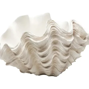 Sale KARE Design Deco Vase Concha 29cm