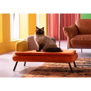 Online KARE Design Dog/Cat Bed Diva Orange