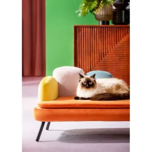 Online KARE Design Dog/Cat Bed Diva Orange
