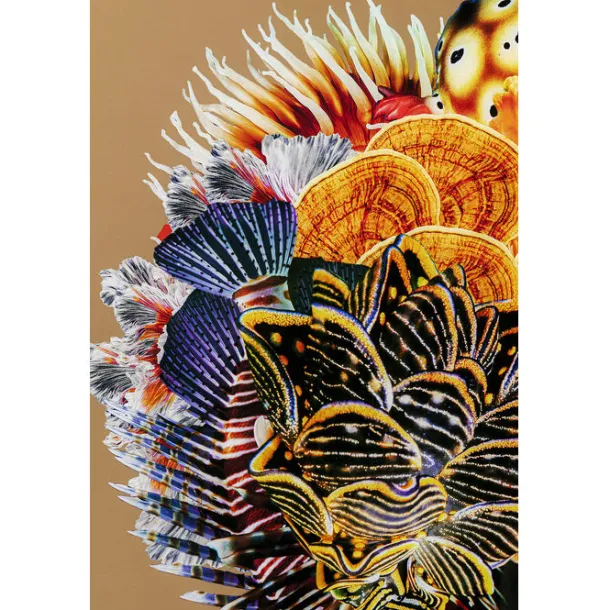 framed_picture_flower_hai_6.webp Best KARE Design Framed Picture Flower Hair 120x120cm