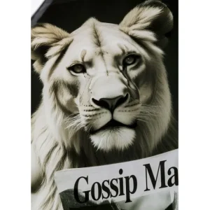 Sale KARE Design Glass Picture Bath Lioness 60x80cm
