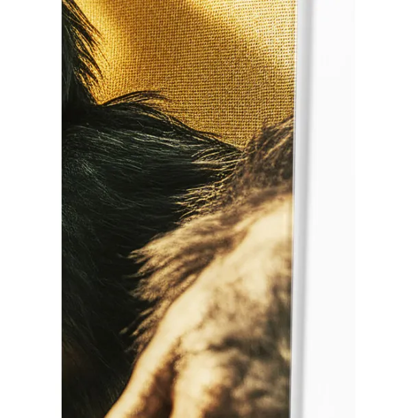 glass_picture_holiday_mon_4.webp Discount KARE Design Glass Picture Holiday Monkey 80x60cm