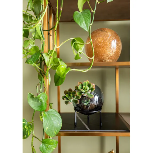 shelf_cesaro_xcm_2.webp Discount KARE Design Shelf Cesaro 90x170cm