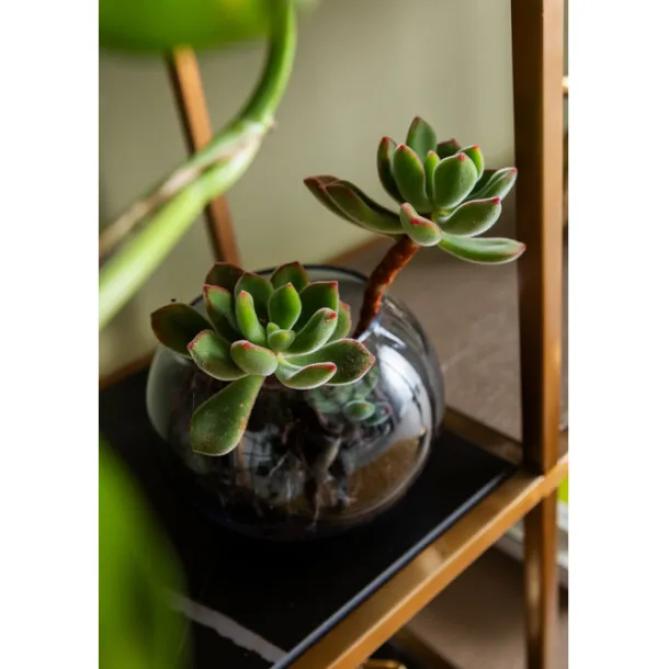 shelf_cesaro_xcm_4.webp Discount KARE Design Shelf Cesaro 90x170cm