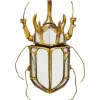 Online KARE Design Wall Object Beetle Mirror 25x39cm