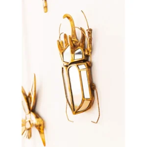Online KARE Design Wall Object Beetle Mirror 25x39cm