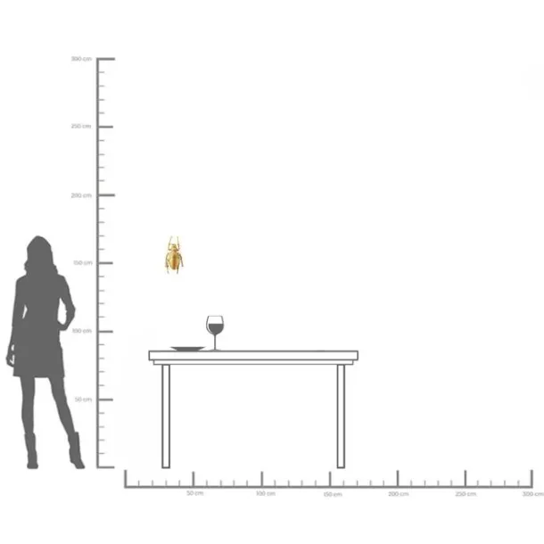 wall_object_longicorn_bee_4.webp Best KARE Design Wall Object Longicorn Beetle Gold