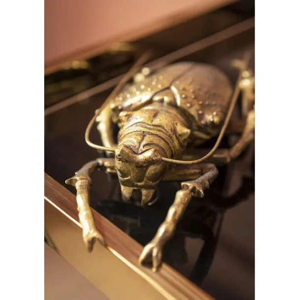 wall_object_longicorn_bee_6.webp Best KARE Design Wall Object Longicorn Beetle Gold