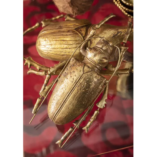 wall_object_longicorn_bee_7.webp Best KARE Design Wall Object Longicorn Beetle Gold